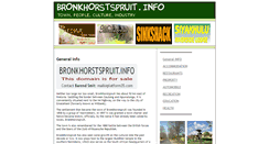 Desktop Screenshot of bronkhorstspruit.info